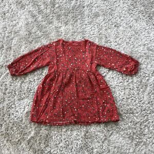 Zara Long Sleeve Girl Dress Size 3-4 Floral Gauze Lined Knee Length Round Neck